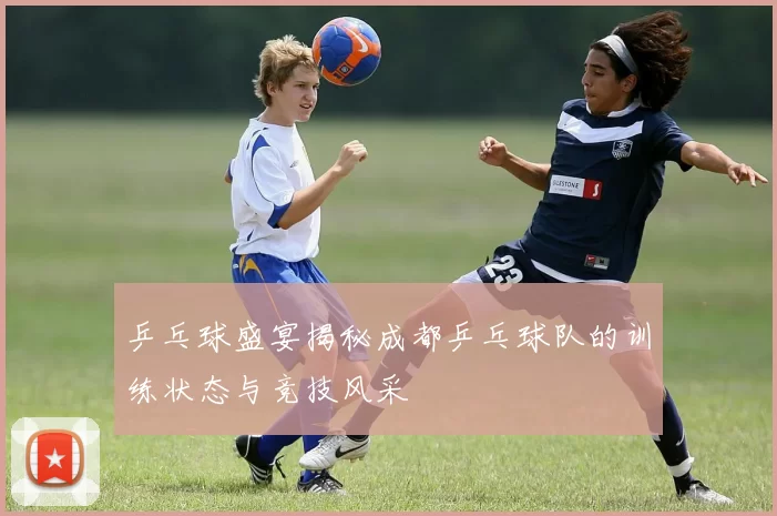 乒乓球盛宴揭秘成都乒乓球队的训练状态与竞技风采