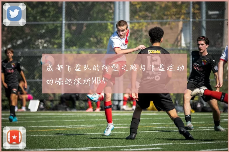 成都飞盘队的转型之路与飞盘运动的崛起探析MBA