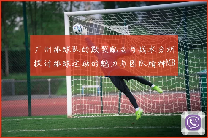 广州排球队的默契配合与战术分析探讨排球运动的魅力与团队精神MBA