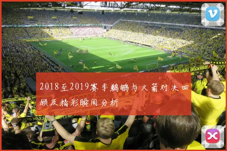 2018至2019赛季鹈鹕与火箭对决回顾及精彩瞬间分析
